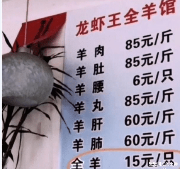 |笑话：高考成绩出来了，侄儿说差8分可以上211，结果最后却是……哈哈