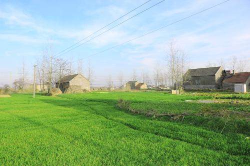 【退休】受到疫情的影响，今年退休人员退休金还会继续增长吗？