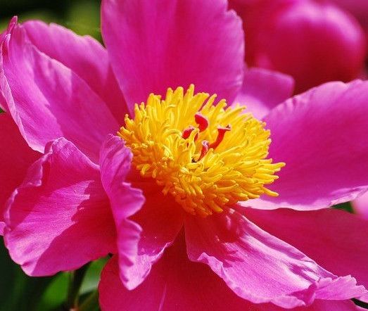 |进入9月，4属相财源滚滚，事业更上一层楼，日子风生水起