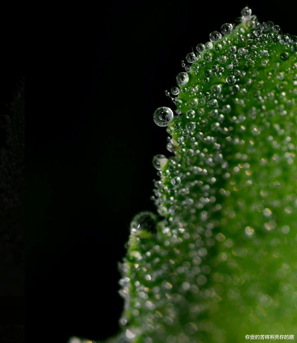 属鸡|8月开始，4属相横财如雨，贵人喜事上门，日子越过越顺