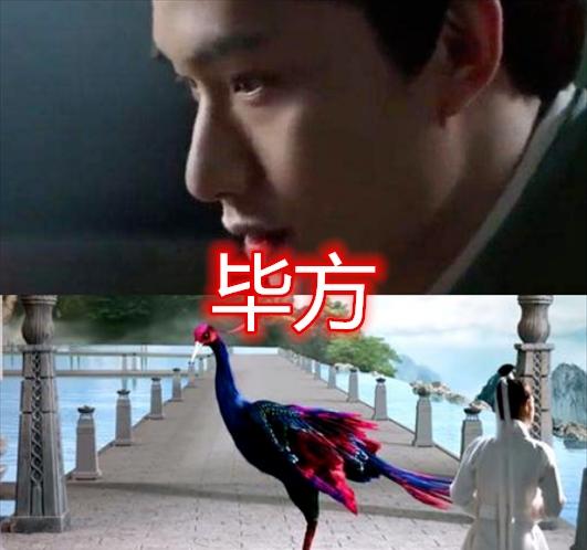 [东华]《三生三世》毕方的真身，凤九的真身，看到东华真身：没搞错吧？