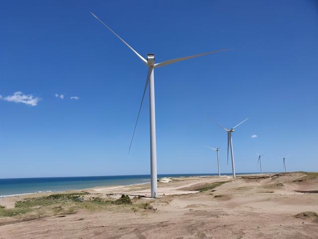 吹風要交稅？阿根廷馬德林港風電場將支付“風能稅”-圖2