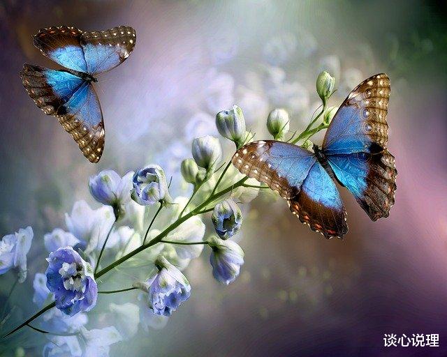 摩羯座|两周后,不恋旧事,不痴凡尘,3星座爱恨两清,从此相见是路人