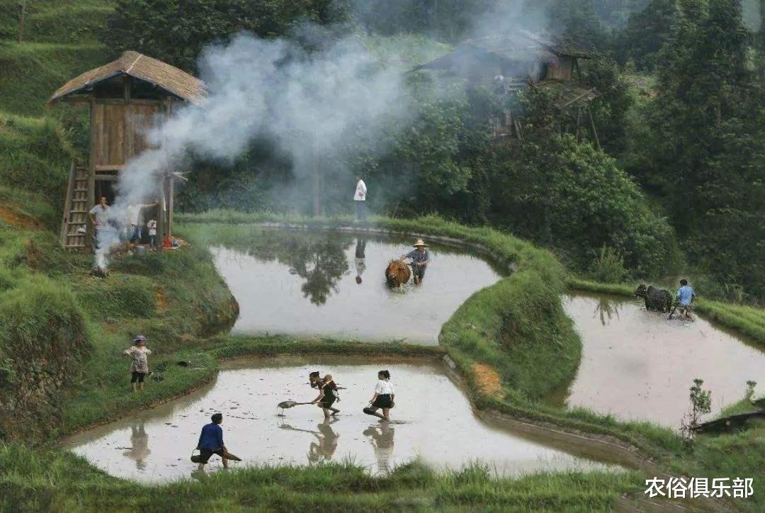 农俗俱乐部|除秸秆不让焚烧，这3件农民以前爱干的事也被禁止，真有必要禁？