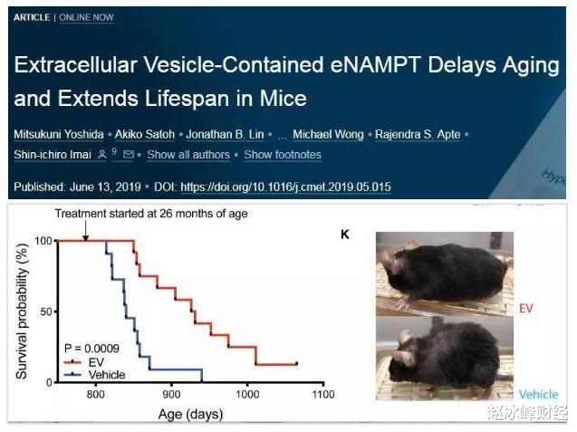 科学家▲科学家新发现:输年轻血液,可逆转衰老54%
