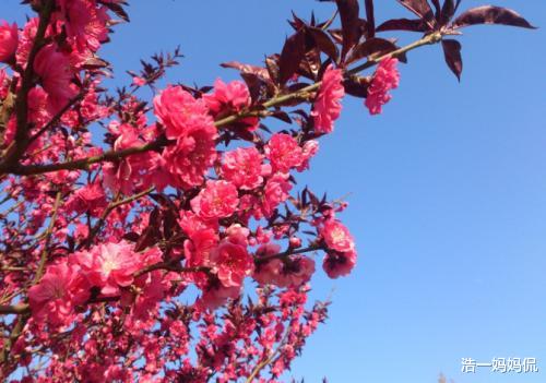 生肖■6月19号，运势走红，天赐福禄的3大生肖，赚钱更容易，发家致富