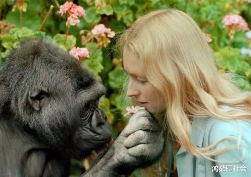 海豚|NASA曾进行过一项实验？将雄性海豚与女科学家放在一起生活......