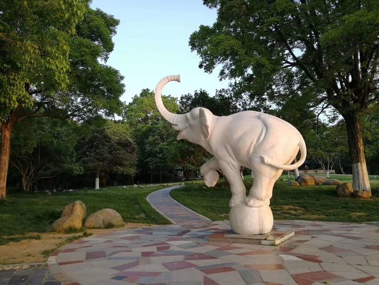 『武汉』武汉清零后,阅读东湖垂钓者的心情