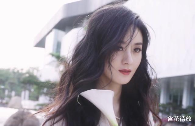 赵丽颖|颖宝拍绝美大片，温婉优雅、宛如仙女！评论区却成为了亮点！