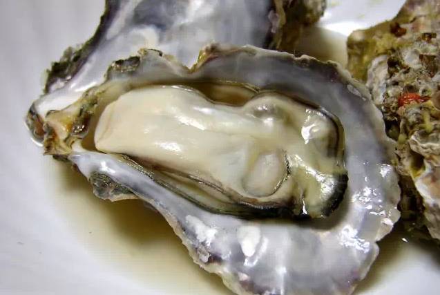 鱿鱼|开海了!这84种海鲜,你都认识吗?