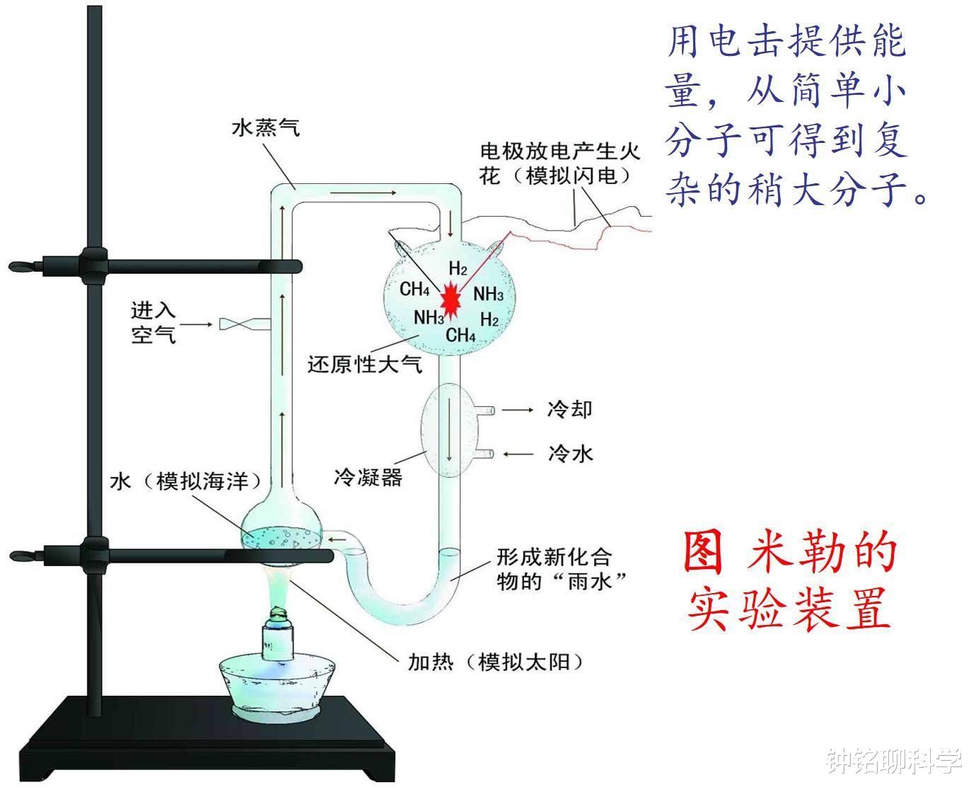 哺乳动物|地球原本没有人，那第一个“人”是怎么出现的？