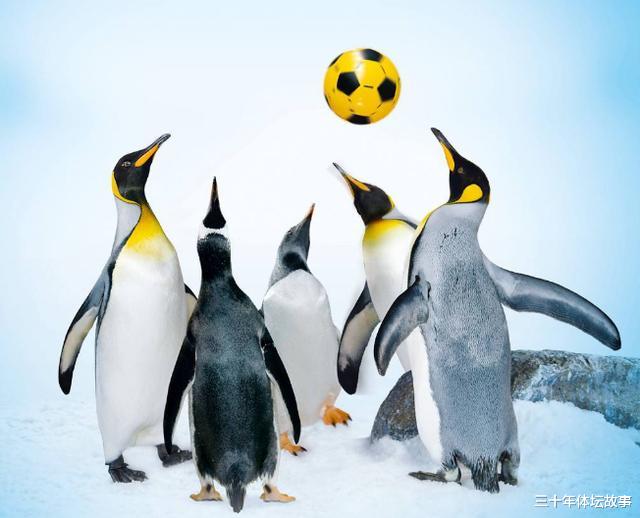 『官宣』深足6月8日官宣大事件，或迎新赞助商，球迷：中超豪门终于复兴