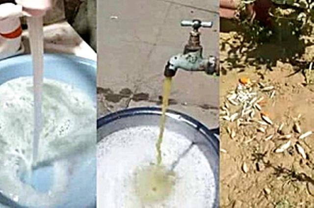 #河北#河北多村庄自来水被污染：颜色发黄起泡，蔬菜被浇后死了一大片