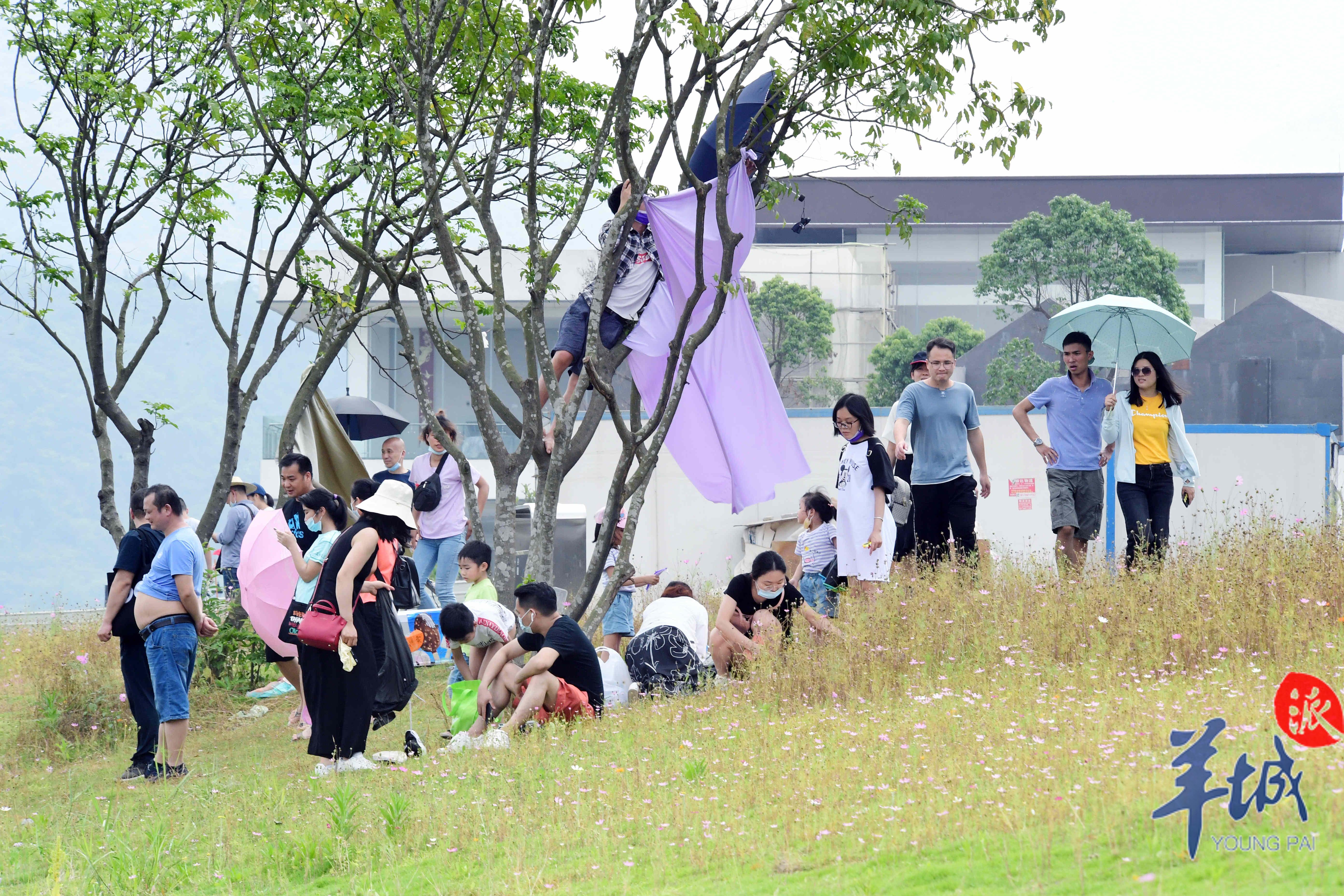 「广州市」【图集】青山绿水连成美好的诗篇!广州乡村游焕发生机