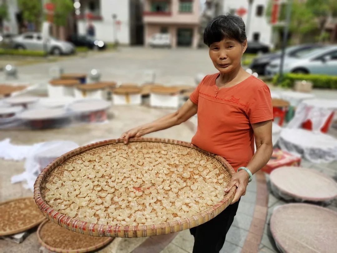 ＂原＂厚街发布|最近，厚街上空都飘着这三个字：晒龙眼！