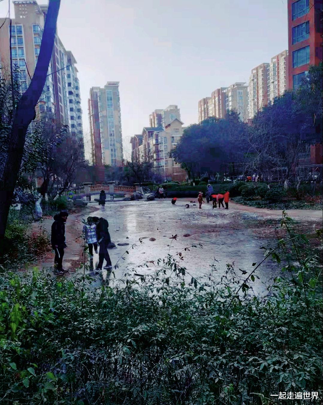 一起走遍世界 实拍:合肥池塘结冰了!小孩直接在上面走