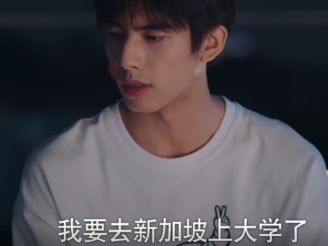 以家人之名|《以家人之名》剧中暴露大结局,李爸喜提老婆,一家六口幸福美满