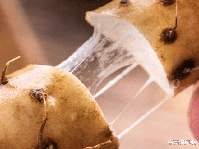 山药:再三提醒:吃山药不能碰此物,吃了等于没病找病,现在知道还不晚
