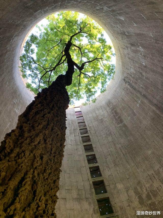 【】30个被人类遗忘的角落,遭遇大自然的反噬!