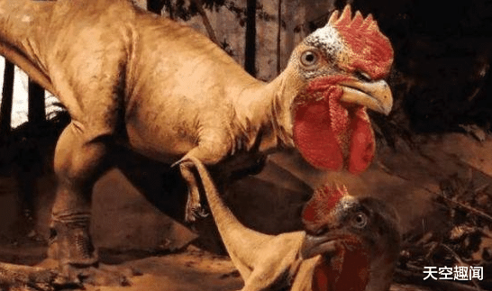 恐龙■先有鸡还是先有蛋,科学家给出了答案,原来我们都想错了