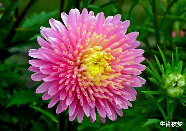 生肖|8月，好运常伴，财源滚滚，3生肖一展宏图贵人帮，走上财富之路