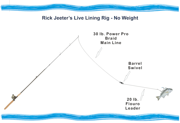 池塘|钓鱼技巧，湖泊水库池塘钓组选择，美式钓组