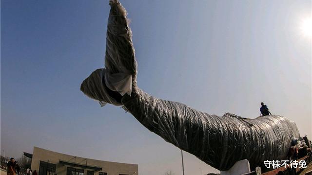 「」10个冷知识:人类的身体,比我们想象中的要坚韧许多