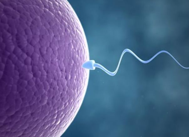 前列腺|3个习惯正悄悄破坏男人的“生育功能”，特别第1点，有人经常做