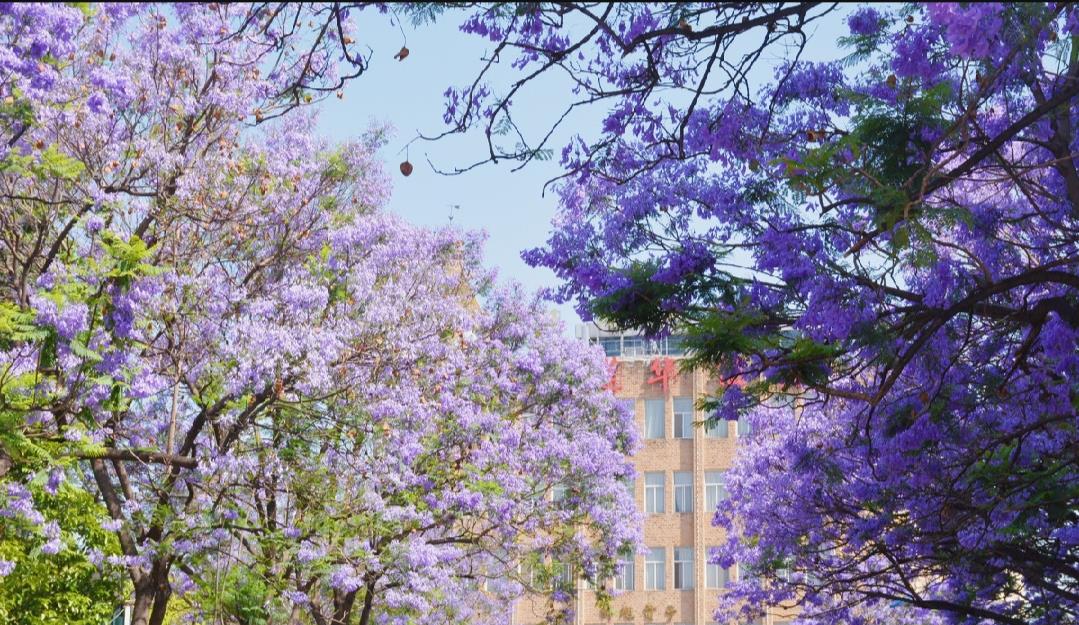 『海南』中国最无奈的省份，明明“四季如春”却被误解，游客：这不怪我们