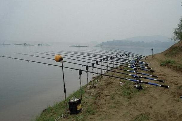 洄游@夏天钓鲈鱼用上这两招，下竿就上鱼！新手多读几遍，天天吃鲈鱼