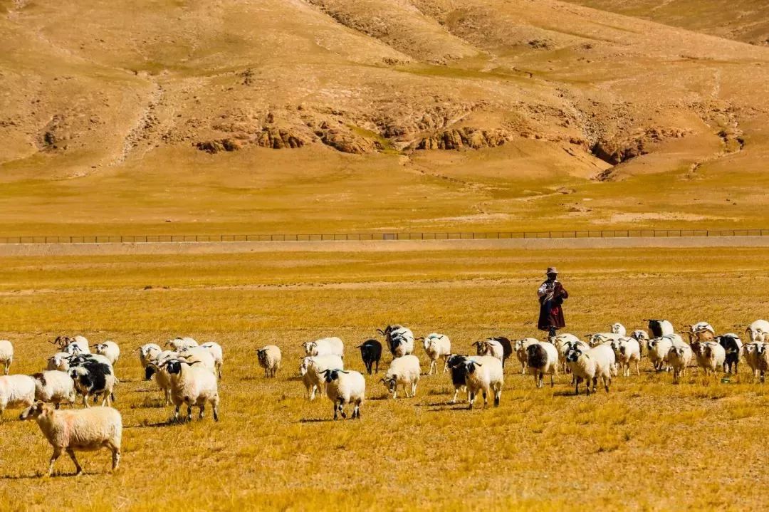 「新疆维吾尔自治区」从新疆出发,中国最长最美公路横空出世,一路顶级风光!