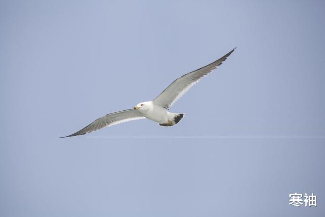 寒袖|曹德旺另结新欢，写信问发妻诉求，妻子回信：我只要房子和孩子