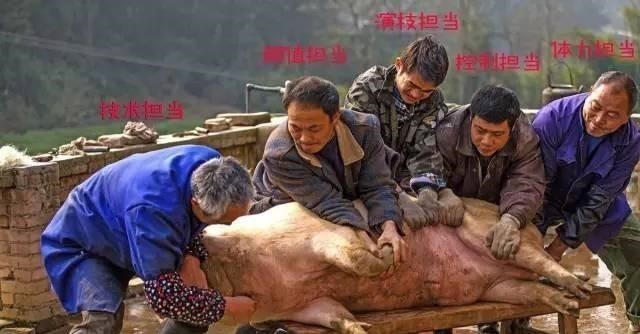 火星|动物能意识到自己被宰吗?为什么?