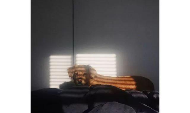 休息一下，享受这些可爱的瞬间