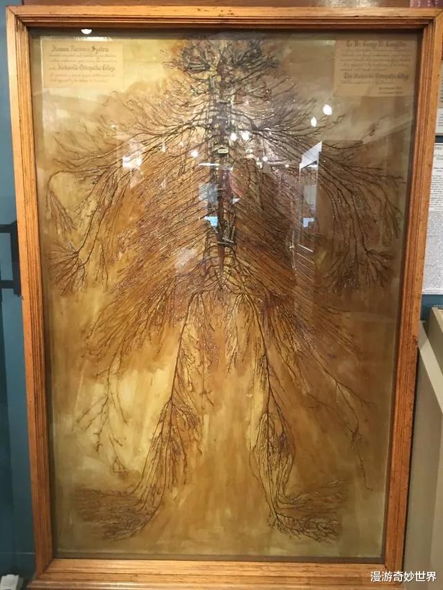 |30张罕见的照片，揭露各种事物鲜为人知的一面！