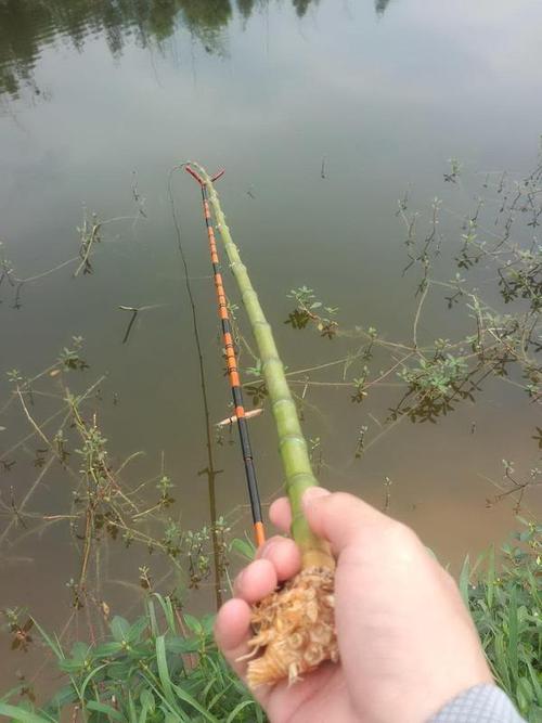 「」野钓的时候如何选择正确的鱼竿，野钓选竿三不要，选好竿钓鱼轻松