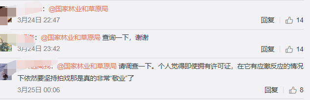 肖战|肖战新剧翻车！疑用国家二级保护动物冒充CG，专业人士出面打脸