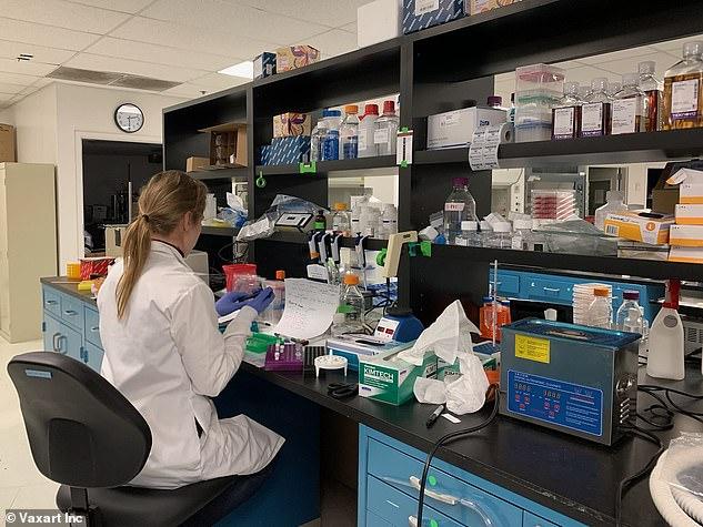 华为@世卫大会欲共享新冠疫苗药品，防止富国垄断，美英带头反对