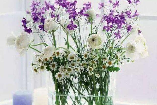 拥抱|未来半年最有可能拥抱幸福的4个星座，感情的机遇别错过