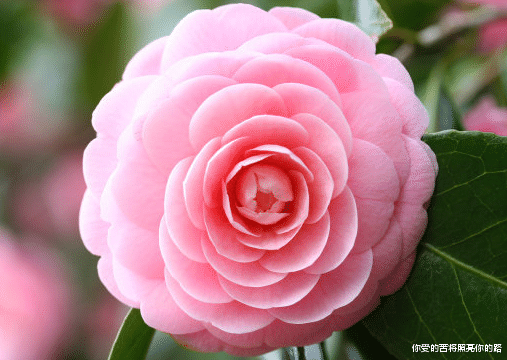 运势▲7月迎紫气东来，4属相横财大发百万，喜从天降，过好日子