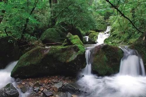 [天山]柞水 | 一个来了不想走，走了还想再来的地方