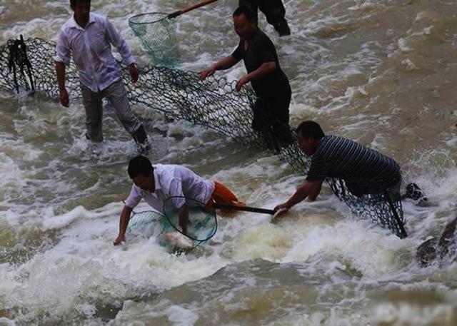 【水库】10斤重的鱼，现抓现卖只要20块，钓友：给我来十条