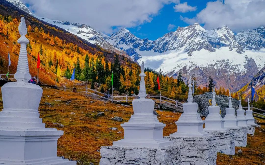 川西|川西，整个秋季最美的地方！思鹿旅行推荐