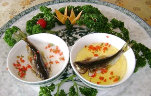 营养膳食|3年才长9厘米,被人误认为是小杂鱼,记清它的外貌,目前600一斤
