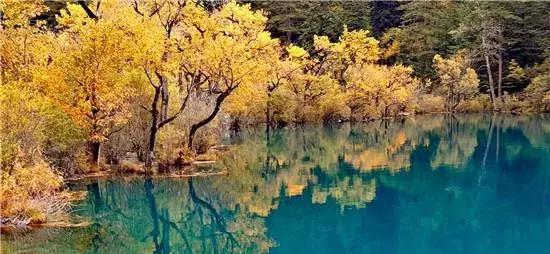 九寨沟|九寨归来, 震后惊现全新瀑布景观群!