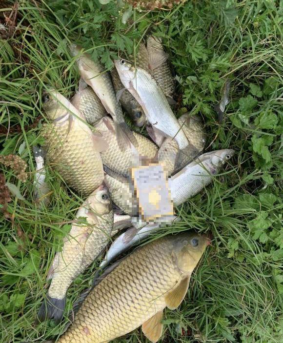 珠江|一人控制16根鱼竿！男子珠江边布下鱼竿阵，这样钓鱼已违法