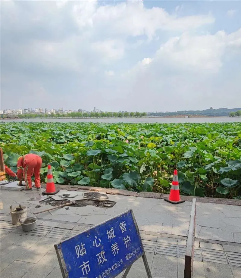 浙样的生活|今天上午，它掉进了西湖！