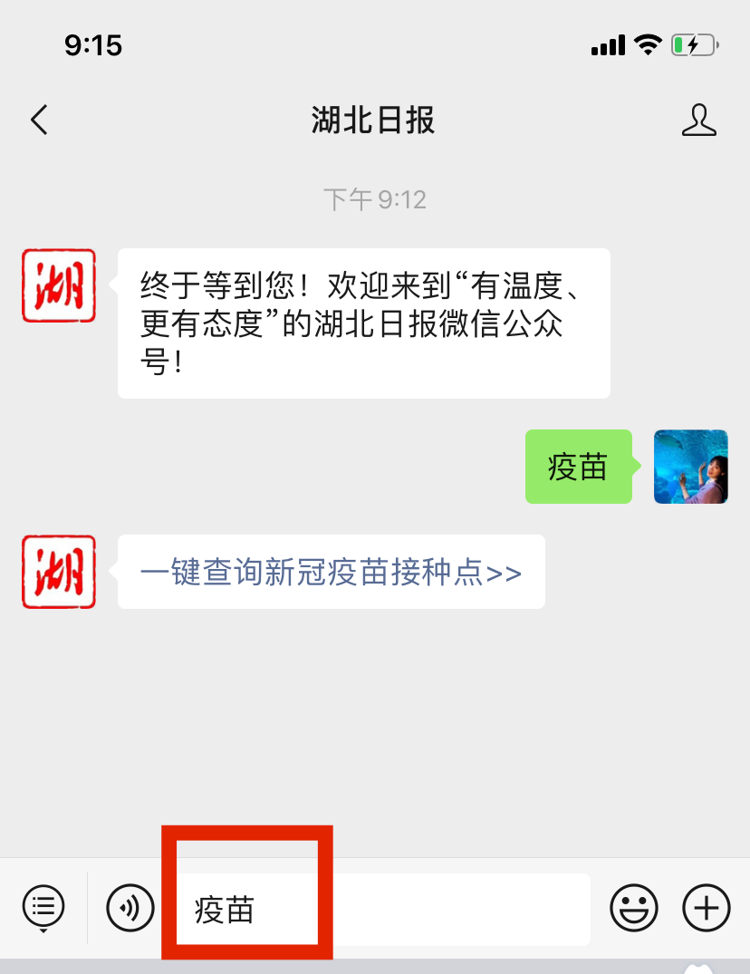 湖北日报视频 湖北多地发文：原地过年