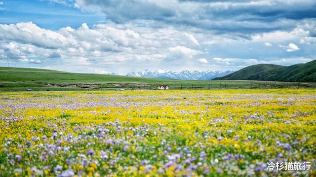 「旅行」国内夏天值得去的10个绝美目的地，有你去过的地方吗？