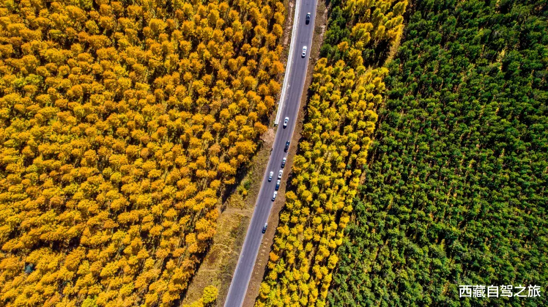 自驾|秋天最美的8条自驾路线！9月10月美成天堂，错过就要再等一年！